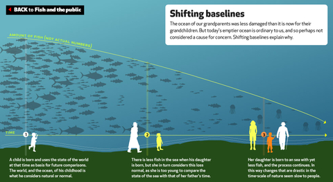 EyeOverFishing.org - Compare fisheries-14.jpg